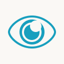 Accessibilité Icon