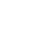 IconWhite29