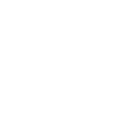 IconWhite30