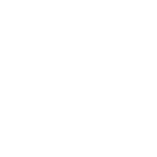 Wurth White Logo